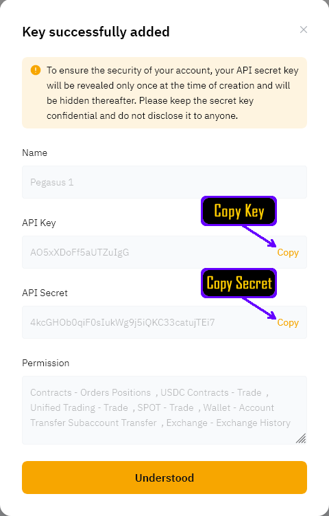 API Key and Secret Display